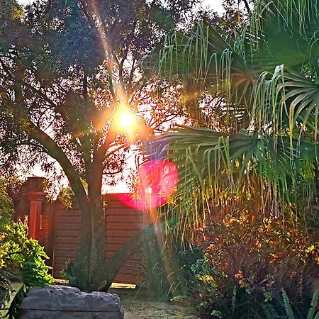 Sun And Stars Otel Benoni Dış mekan fotoğraf