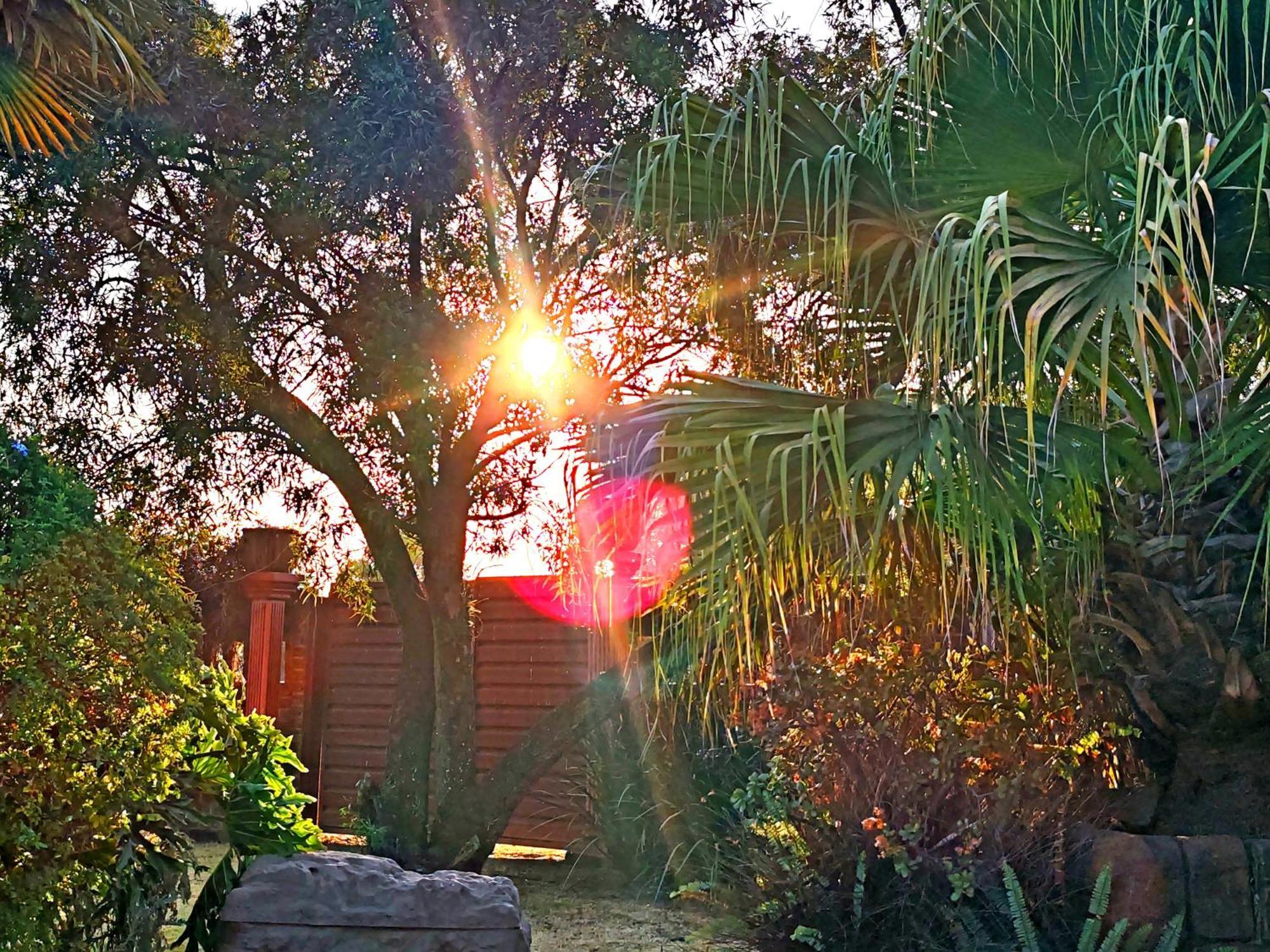 Sun And Stars Otel Benoni Dış mekan fotoğraf